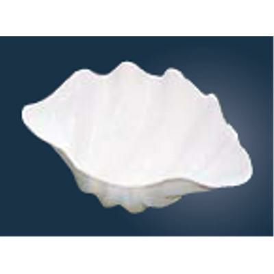 シャコ貝 ホワイト M