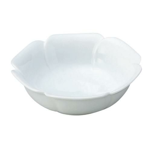 花芙蓉 白 浅鉢