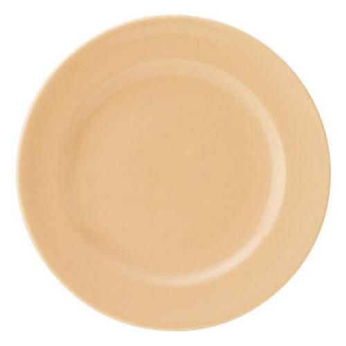 エクシブ 21cm デザート (パステルオレンジ) ジ /グループM