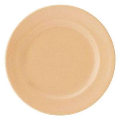 エクシブ 24cm ミート (パステルオレンジ) /グループM