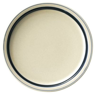 インディゴ ボーダー27cmディナー