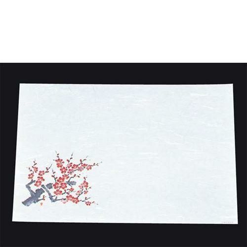 尺三 懐石まっと 抗菌遠赤和紙(100枚入)WS－14 梅(2月～3月)