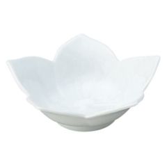 桔梗 白 浅鉢 小