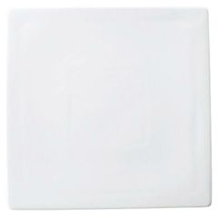 前菜シリーズ 24cm正角皿