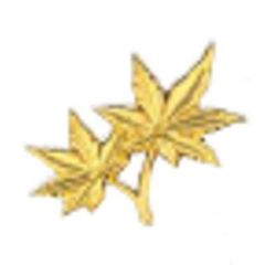 焼付 2枚モミジ