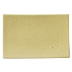 萌黄 21cm焼物皿