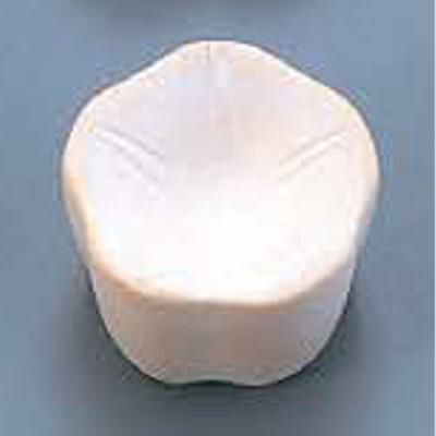 サンモールド (25)朝顔31cc