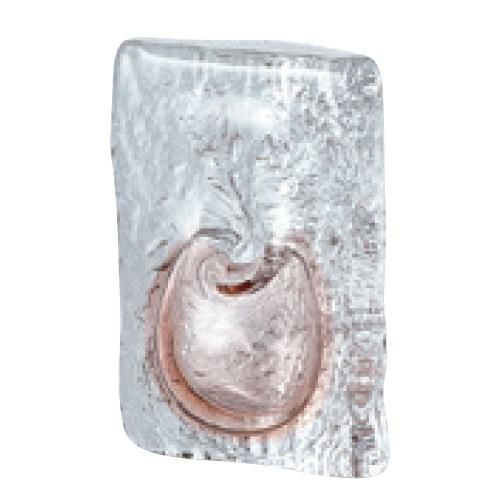 小さな花器 インテリア 一輪ざし