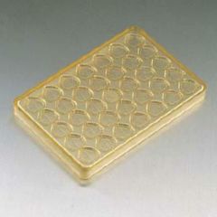 No.68 桜の葉 35ヶ取