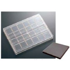 No.81 薄型無地 24ヶ取