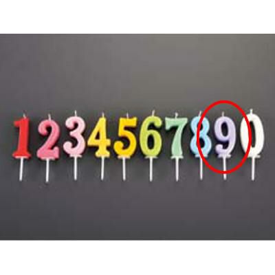 ナンバー キャンドル パステル(10入) 9番