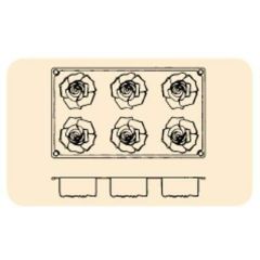 FR056 フィオリータローズ 6ヶ取