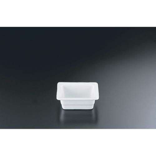 陶器製 ガストロノームディッシュ 1/6 100mm