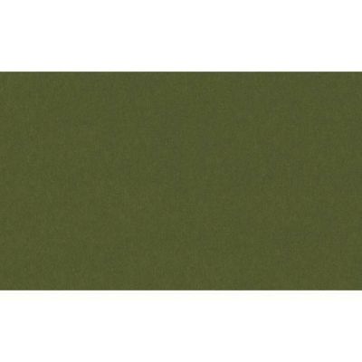 クリエイティブカード 名刺サイズ オリーブ/30枚入り×5冊