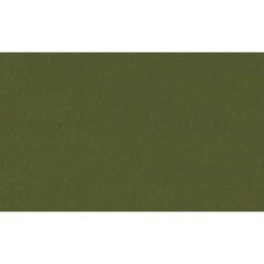 クリエイティブカード 名刺サイズ オリーブ/30枚入り×5冊