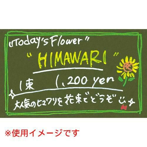 クリエイティブカード 名刺サイズ オリーブ/30枚入り×5冊