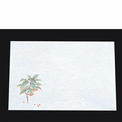 尺三 懐石まっと 抗菌遠赤和紙(100枚入)WS－6 万両(12月～1月)