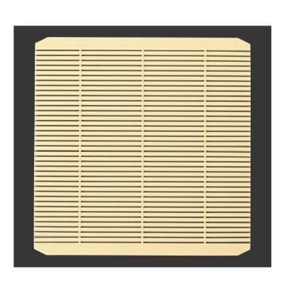 正角竹皿（大）用PP竹ス