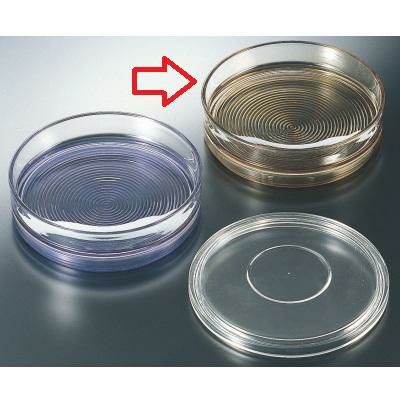 7寸冷麺鉢（浅）グリーン