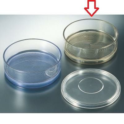 7寸冷麺鉢（深）グリーン