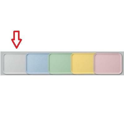 FRP長角トレーホワイトSL ホワイト