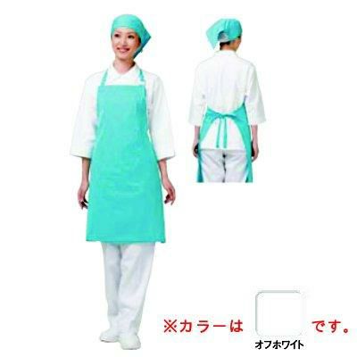 アイメッシュエプロン 首掛タイプ E5200-00 オフホワイト