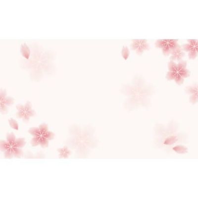 ショーカード 名刺サイズ 桜/30枚×5冊入