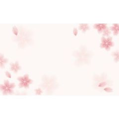ショーカード 名刺サイズ 桜/30枚×5冊入