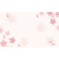 ショーカード 名刺サイズ 桜/30枚×5冊入
