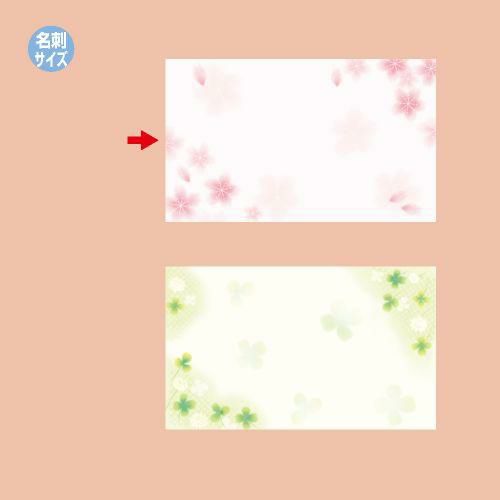 ショーカード 名刺サイズ 桜/30枚×5冊入