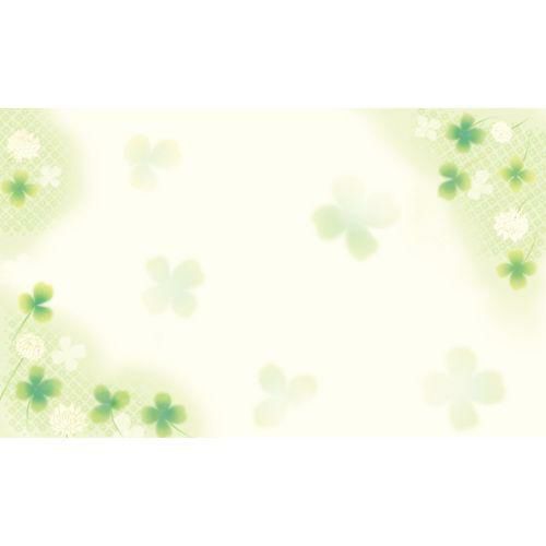 ショーカード 名刺サイズ 白つめ草/30枚×5冊入