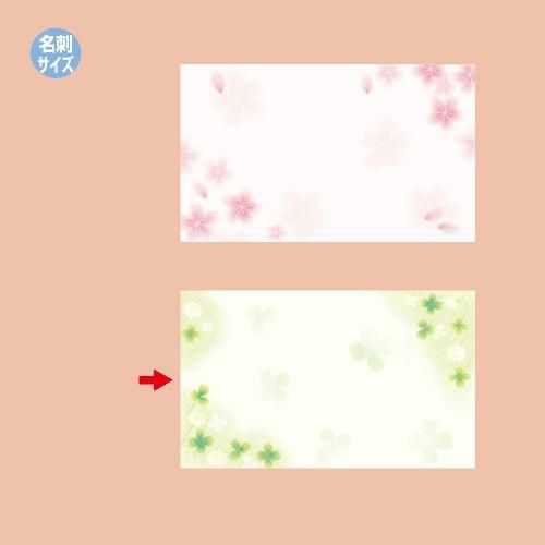 ショーカード 名刺サイズ 白つめ草/30枚×5冊入