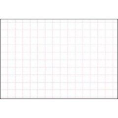 ショーカード 大 アミ目入 無字/50枚×5冊入