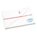 のし紙 B6判 赤棒 京/100枚×10冊入