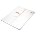 のし紙 中杉判 十本結切 京/100枚×5冊入