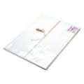 のし紙 みの判 十本結切 京/100枚×5冊入