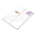 のし紙 B5判 十本結切 京/100枚×5冊入