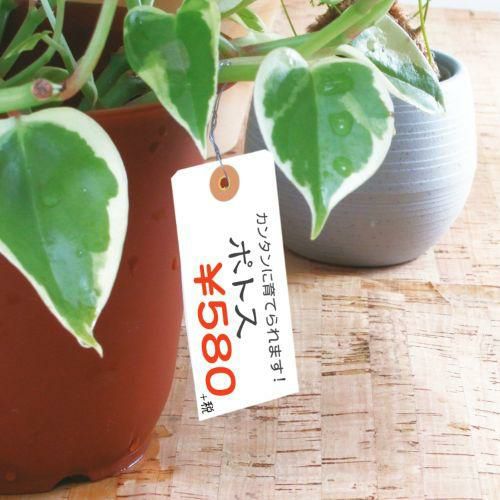 ユポ荷札 中/1000枚×1箱