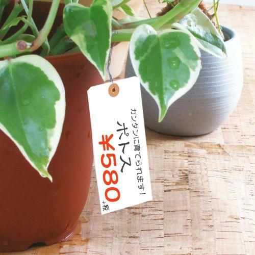 ユポ荷札 大/1000枚×1箱