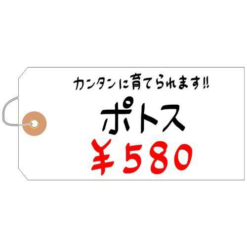 ユポ荷札 大/1000枚×1箱
