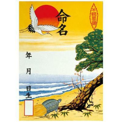 命名紙 B3判変形 多色刷/3枚×10冊入