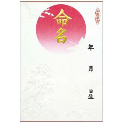 命名紙 B4判変形 金字 浮出/3枚×10冊入