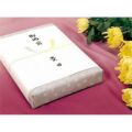 のし紙 B5判 黄水引 山/100枚×5冊入