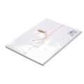 のし紙 半紙判 五本結切 山/100枚×5冊入