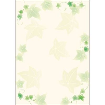 デザインペーパーフラール アイビー/10枚×5冊入