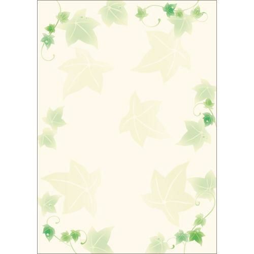 デザインペーパーフラール アイビー/10枚×5冊入