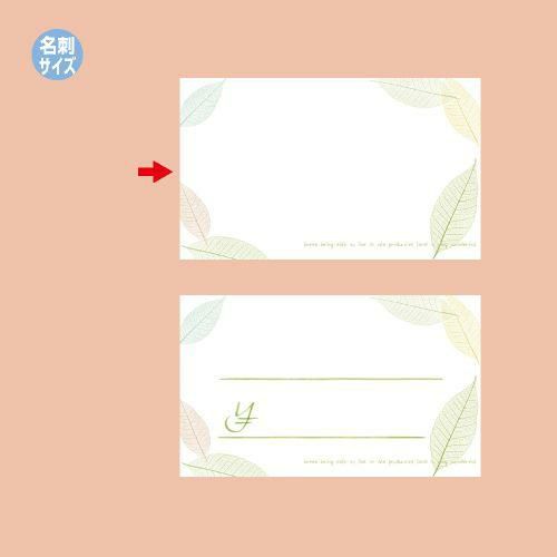 ショーカード 名刺サイズ 葉脈リーフ/30枚×5冊入