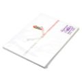 のし紙 A4判 十本結切 京/100枚×5冊入