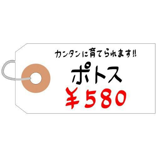 耐水紙荷札 豆/2000枚×1箱