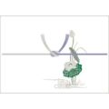 のし紙 A5判 蓮 山/100枚×5冊入